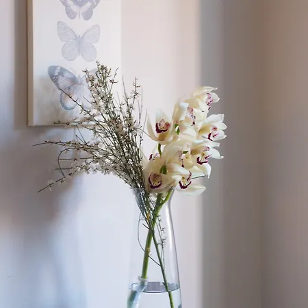 Residenza Scipioni Luxury Bed & Breakfast Roma